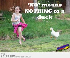 run away.JPG