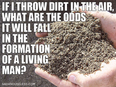 dirt.jpg