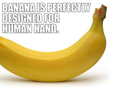 i am a banana.jpg