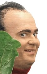 image.jpg