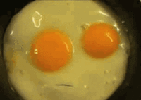 image (11905).gif