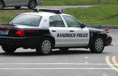4090375-81.jpg