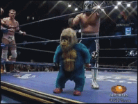 tmp_1384614927656467566018697.gif