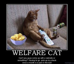 welfare-cat-welfare-bum-political-poster-1299342045.jpg