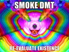 download.jpg