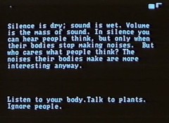 word.jpg