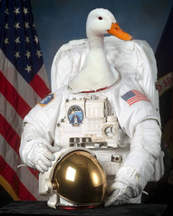 quack in space.jpg
