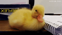 1384860582116.gif