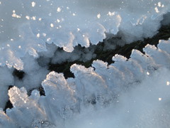 DSCN2195.JPG