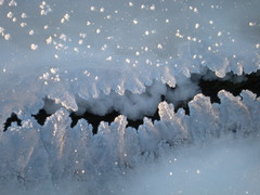 DSCN2198.JPG