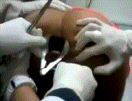 1385329886453.gif