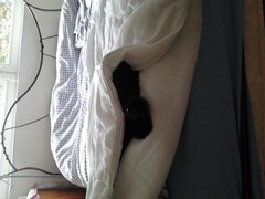 2013-10-16 13.28.35.jpg