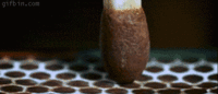 1277057538_match-lighting-in super-slow-mo.gif
