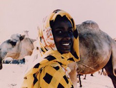 wariscamel.jpg