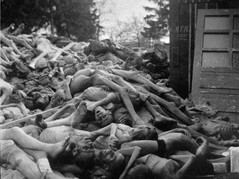 holocaust3.jpg