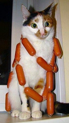 cathotdogs.png