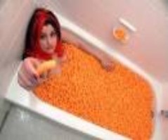 gotcheese.JPG gotcheese.JPG
