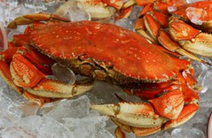 dungeness-crab.jpg