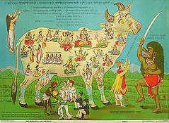 280px-Sacred_cow2.jpg