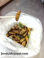 fried+worm.jpeg