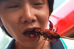 food-as-insects (7)[2].jpeg