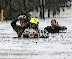 rain.png