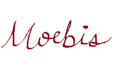 Moebis.png