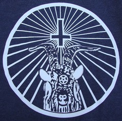 sfdghkjl.jpg