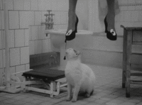 yZfBFeD.gif yZfBFeD.gif