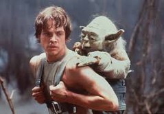 luke.jpg