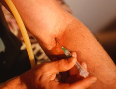 bert-needle-2.jpg