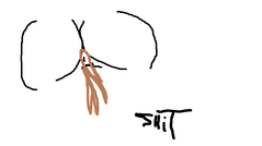h.png