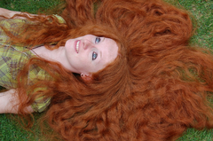 ginger.png