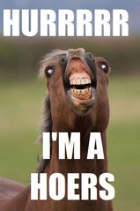 Im_a_horse.jpg