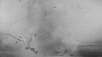 1389776796038.gif