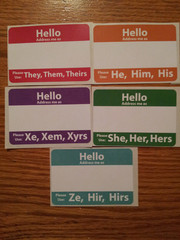 trans pronoun stickers.jpg