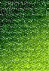 reptileskin.jpg