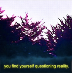 yfyqr.png