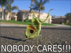 attnobodycares.jpg