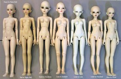 mini_bjd.jpeg