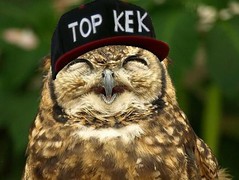 topkek.jpg