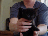 1392679833207194.gif