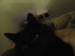 20140108_234028.jpg