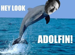 Funny-Dolphin-48.jpg