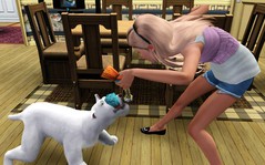 Screenshot-68.jpg Screenshot-68.jpg