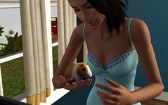 Screenshot-22.jpg