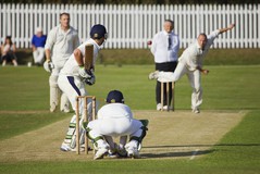 cricket2.jpg