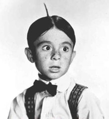 Alfalfa.jpg