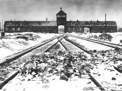 20080713_1383757010_brama_birkenau.jpg