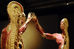 bodies-1.jpg